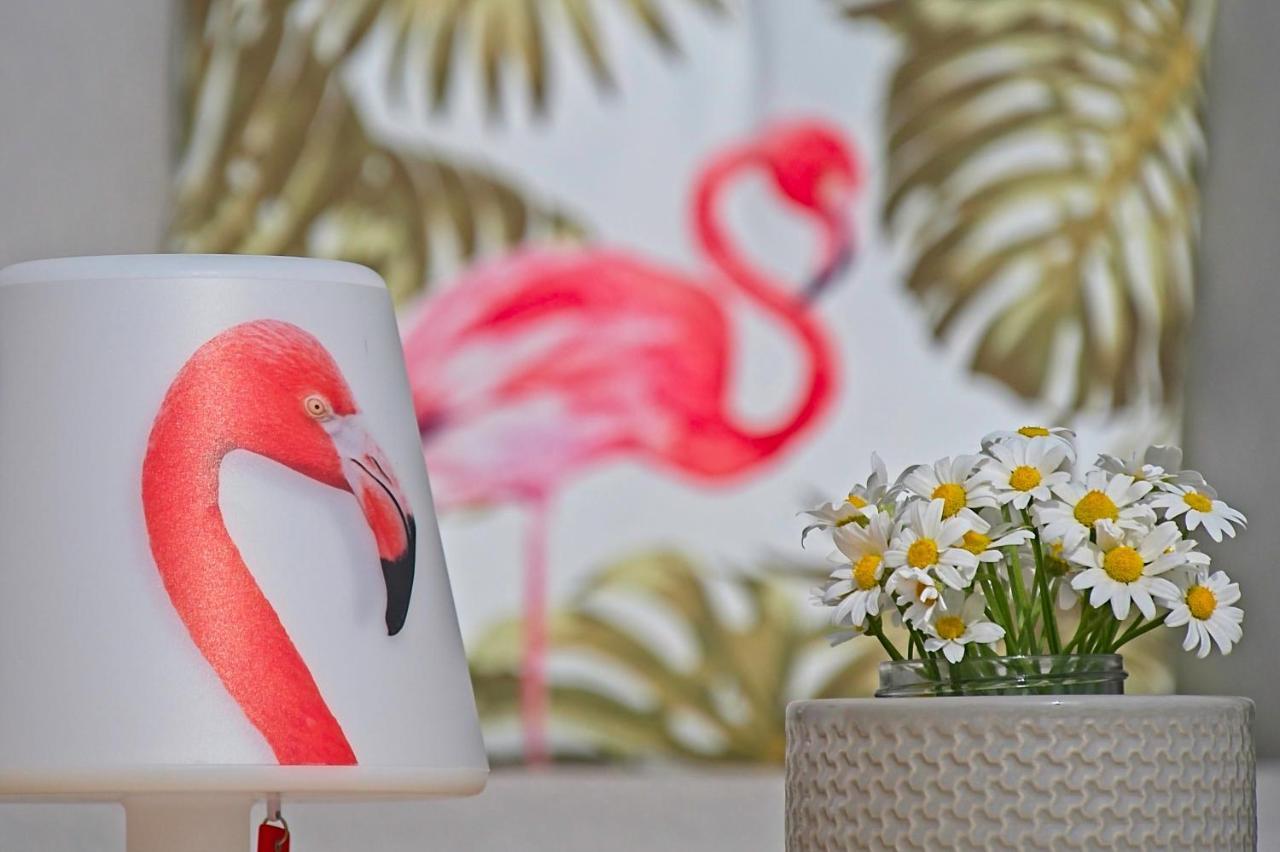 Villa Flamingo Kaštelir Eksteriør billede